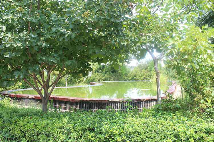 yobo手机官方网站-yobo(中国)机械厂区环境优美